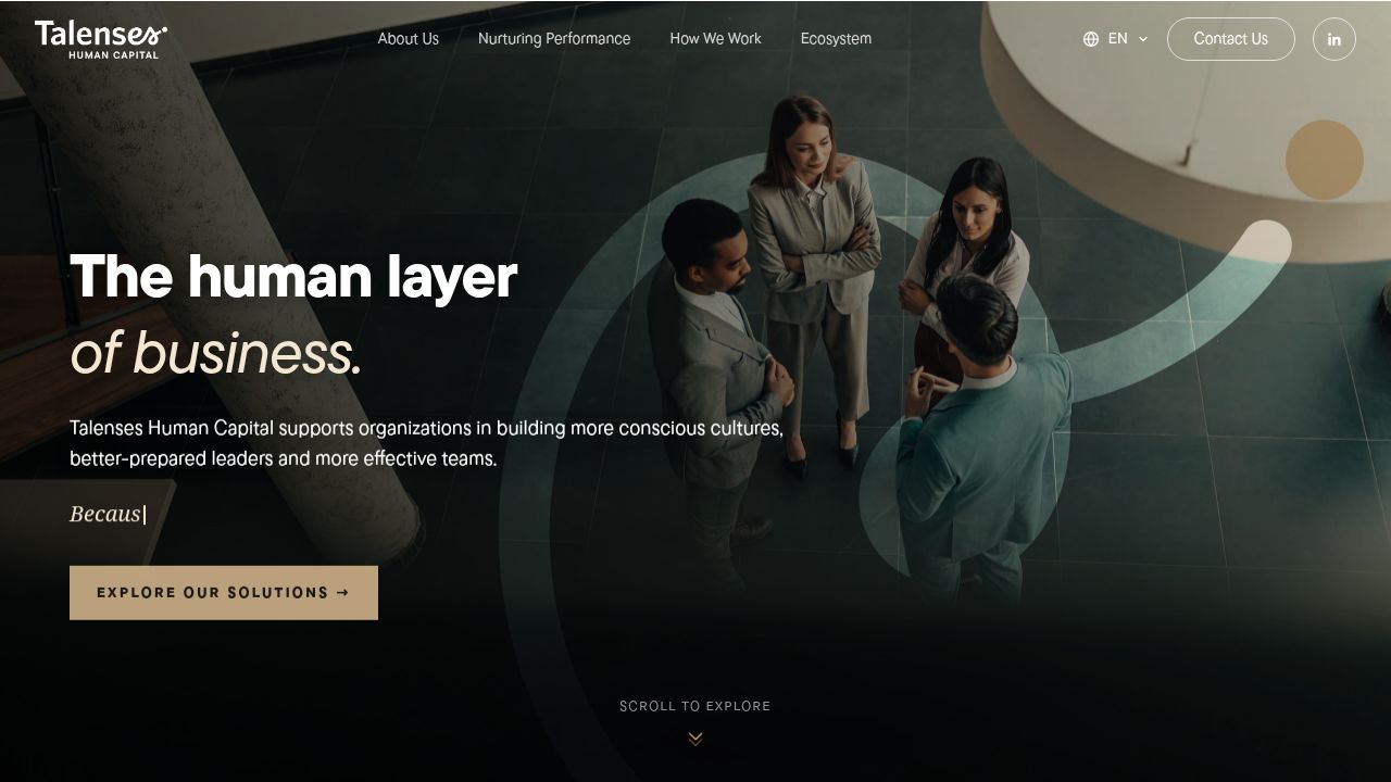 Preview image published by talenseshumancapital.com